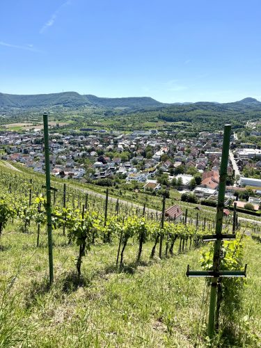 Outletcity Metzingen IMG_3959 3
