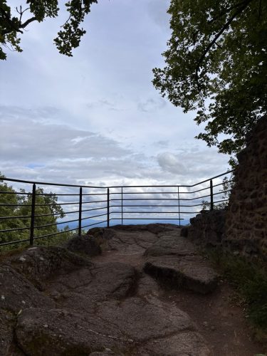 Randonnée foret SPesbourg Hungerplatz (10)