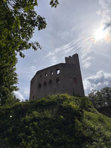 Randonnée foret SPesbourg Hungerplatz (2)