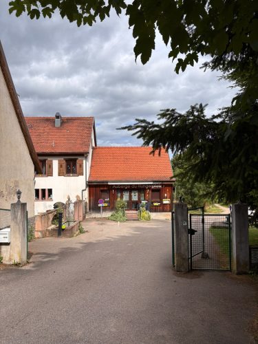 Randonnée foret SPesbourg Hungerplatz (3)