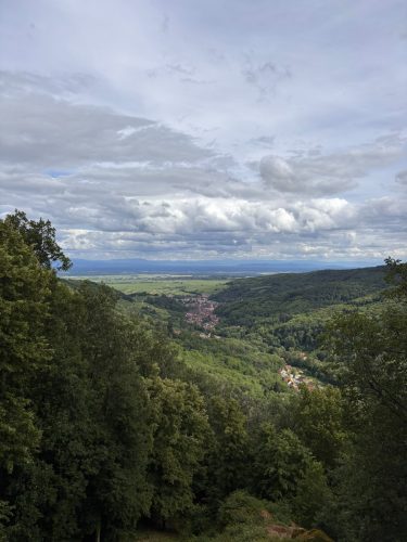 Randonnée foret SPesbourg Hungerplatz (6)