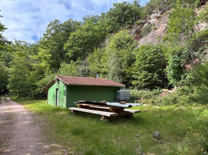 Randonnée foret SPesbourg Hungerplatz (8)