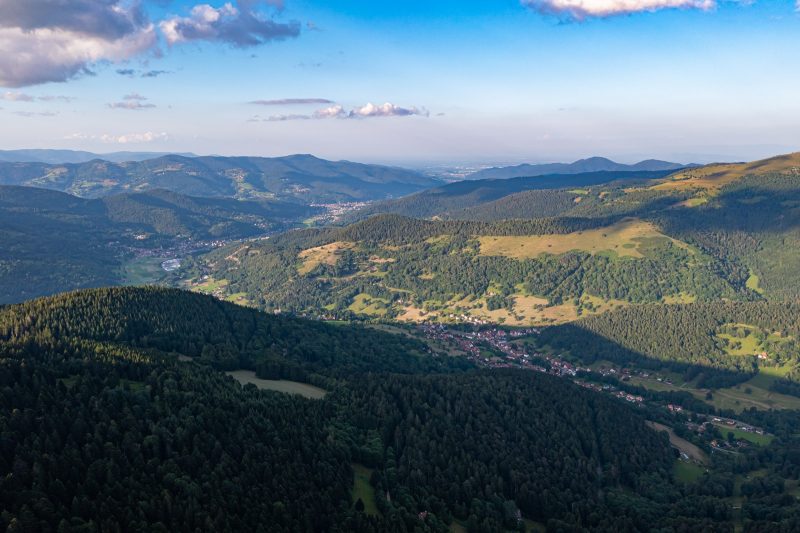 Schnepfenried