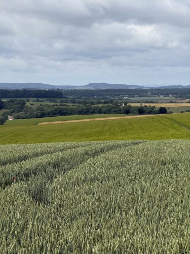 Saare allemagne IMG_5329 5 2