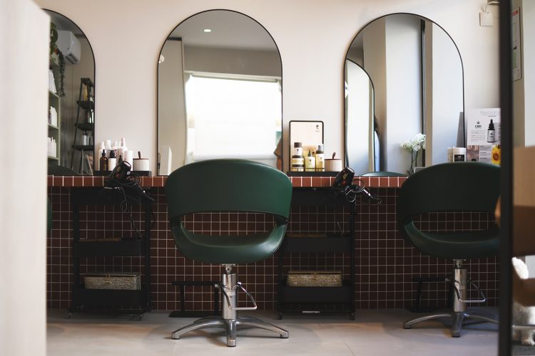 Laureline coiffure beauté végétale (30)