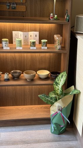 Milo Café Matcha club (4)
