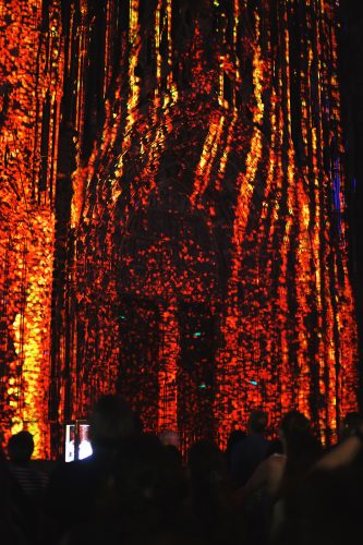 Illuminations cathédrale spectacle son et lumière été (6)