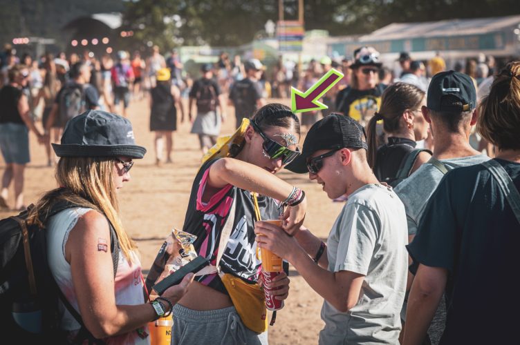 Eurockéennes, festivalier, festival