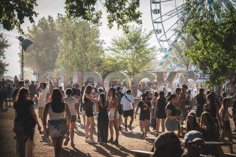 Eurockéennes, festivalier, festival, foule