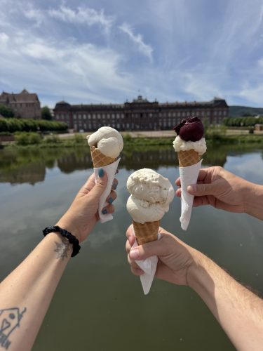 saverne glace