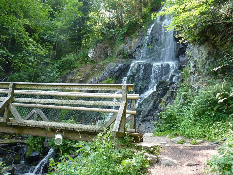 Le_Hohwald_092