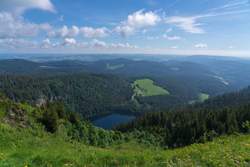 Feldberg foret noire