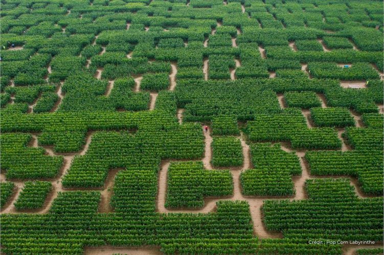 Pop Corn Labyrinthe