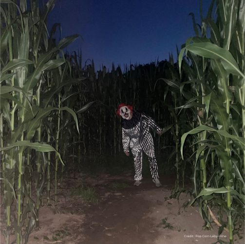 Pop Corn Labyrinthe