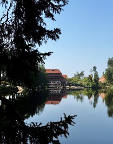 Le mummelsee lac allemagneIMG_0132