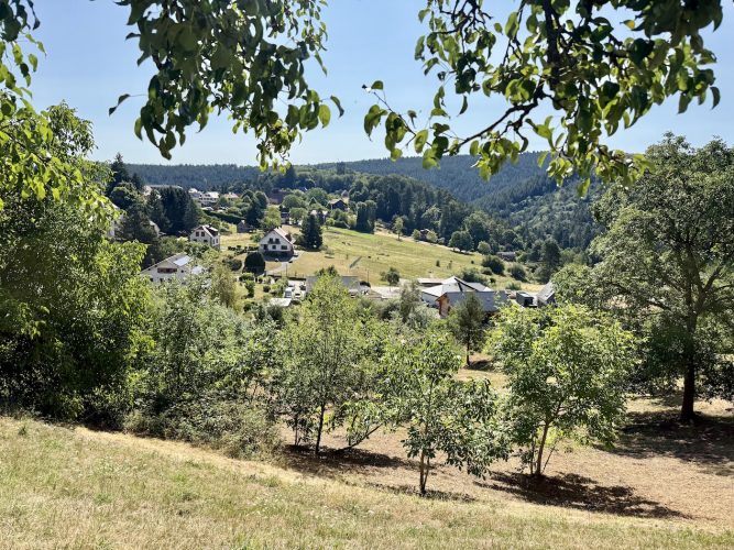 Mossig et vignobles IMG_9772