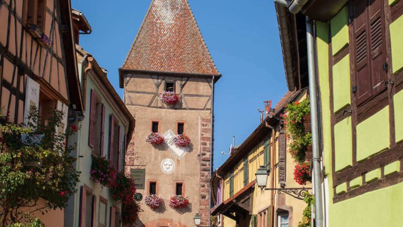 Ammerschwir