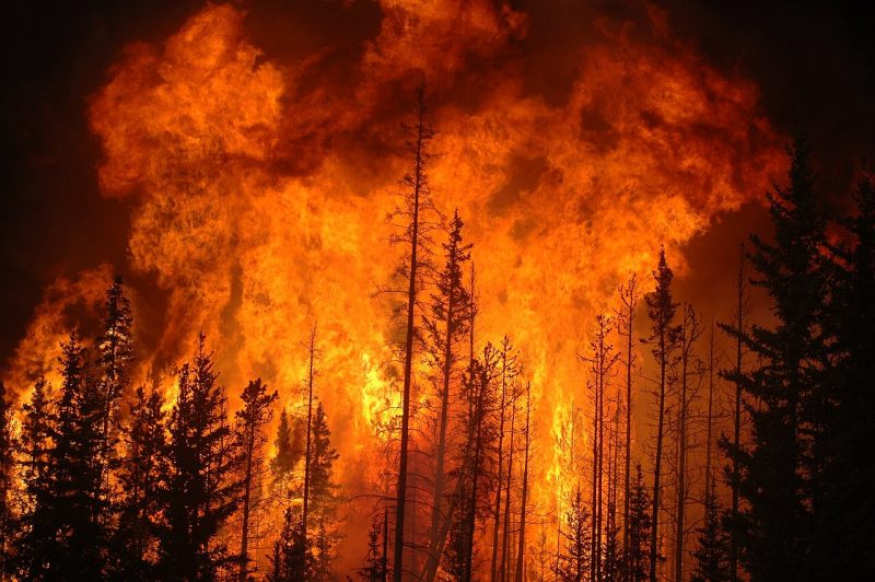 feu de forêt incendie pompiers