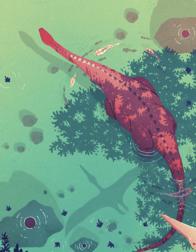 Illustration clémence dupont (6)