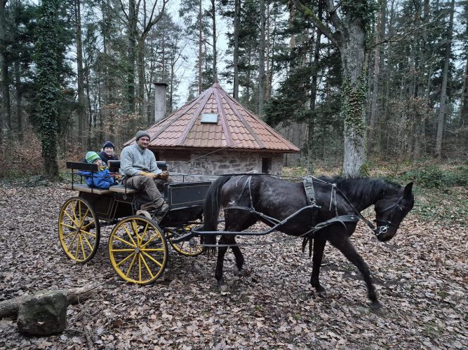 écurie du pacolet équitation bivouac (10)