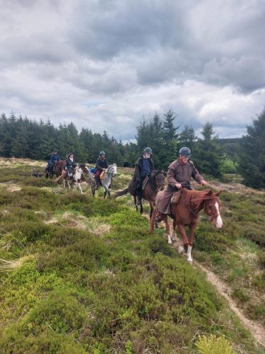 écurie du pacolet équitation bivouac (13)
