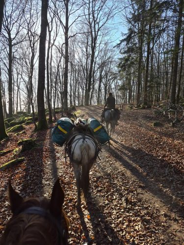 écurie du pacolet équitation bivouac (16)