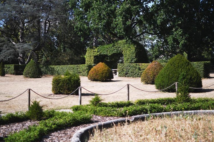 Château de la Leonardsau Obernai (45)