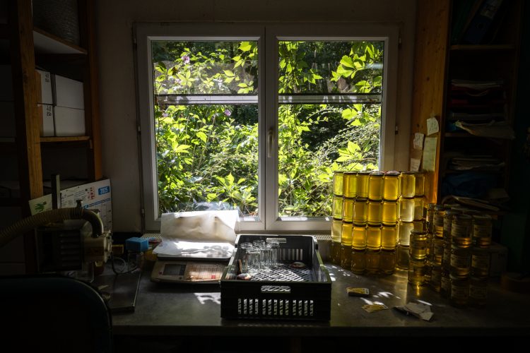 Apiculture miel abeilles apiculteur environnement