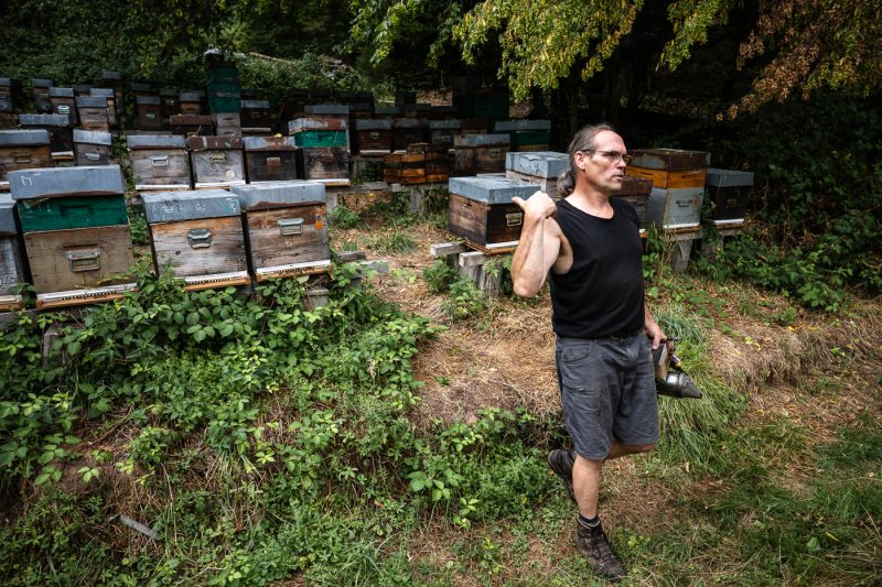 Apiculture miel abeilles apiculteur environnement