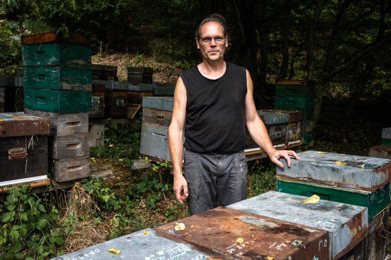 Apiculture miel abeilles apiculteur environnement