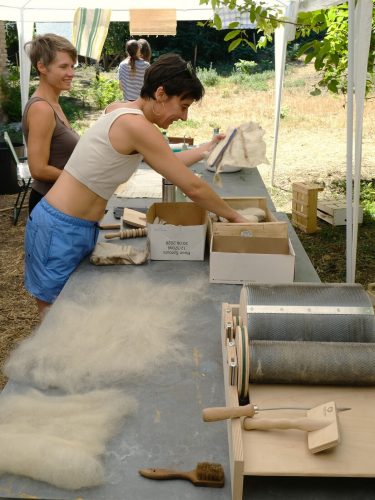 Stras&rsquo;bêrgerie bergerie urbaine Koenigshoffen éco-pâturage moutons