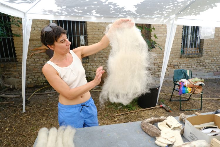 Stras&rsquo;bêrgerie bergerie urbaine Koenigshoffen éco-pâturage moutons