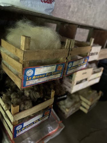 Stras&rsquo;bêrgerie bergerie urbaine Koenigshoffen éco-pâturage moutons