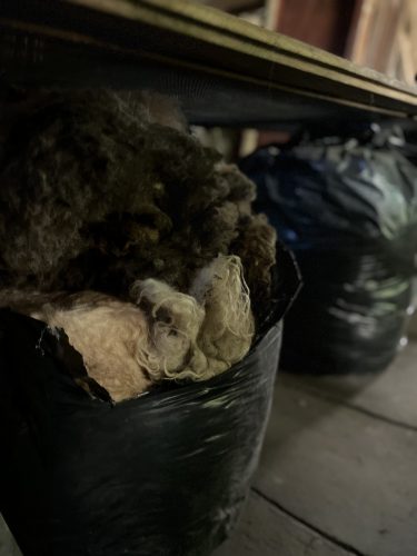 Stras&rsquo;bêrgerie bergerie urbaine Koenigshoffen éco-pâturage moutons