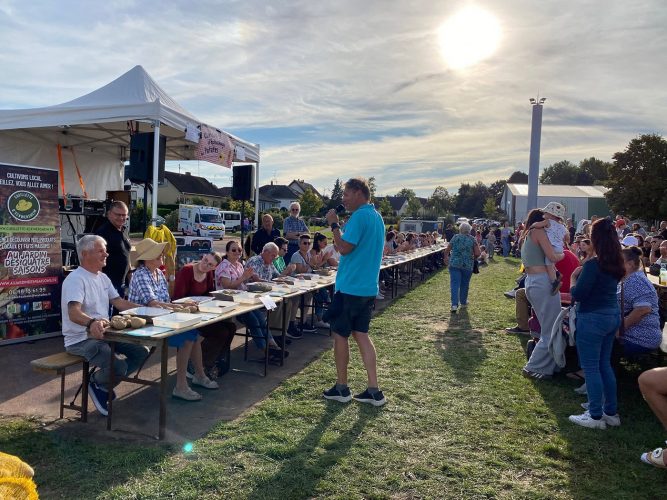 Fête de la patate pomme de terre vendenheim (8)
