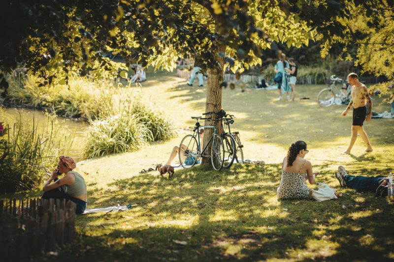 vélo, été, orangerie