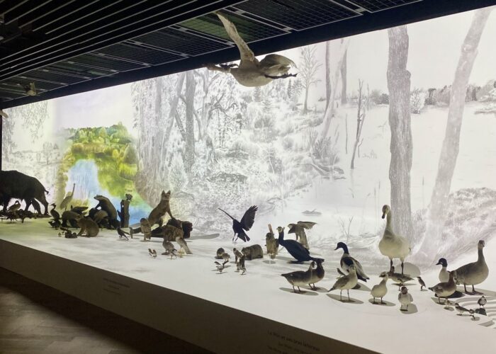 Musée Zoologique