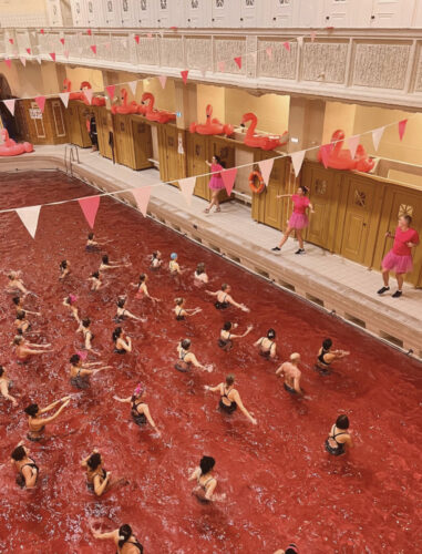 Rose des bains (1) copie