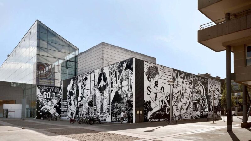 Fresque MAMCS
