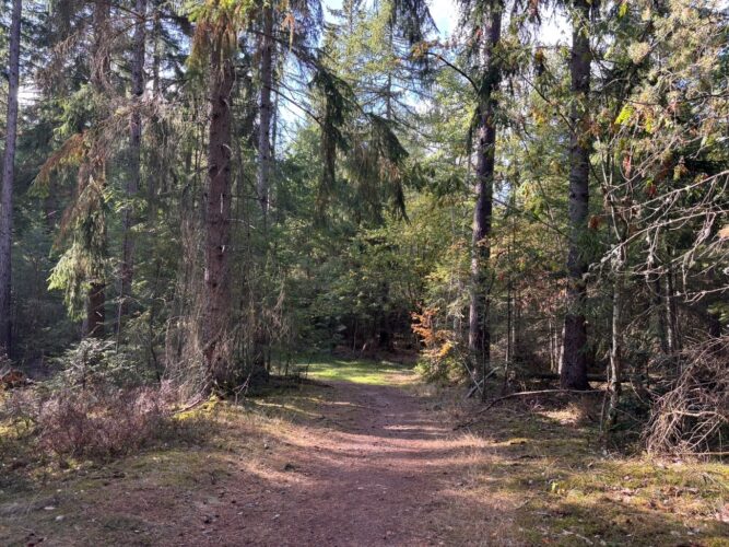 Sentier Trois Epis Julia Wencker
