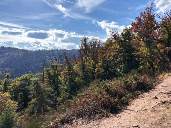 Vue sentier Julia Wencker