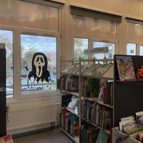 Bibliothèque des Pins Haguenau