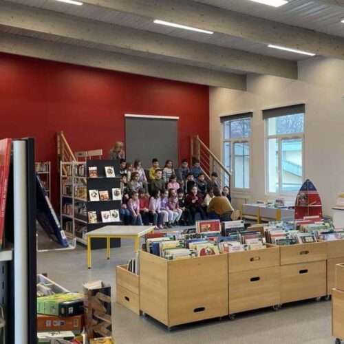 Bibliothèque des Pins Haguenau