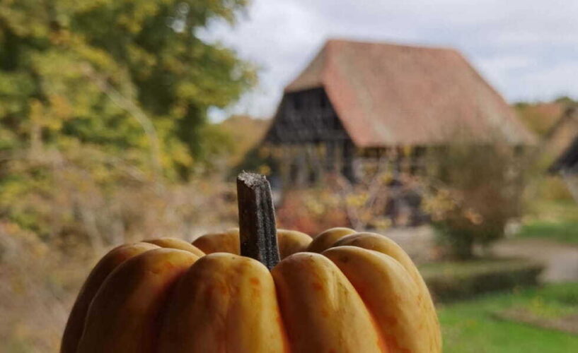 Ecomusée d&rsquo;Alsace