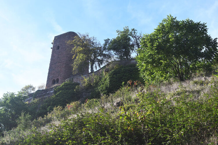 Randonnée vosges grottes des amoureux (26) chateau  hunebourg