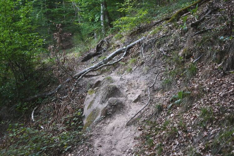 Randonnée vosges grottes des amoureux (38)