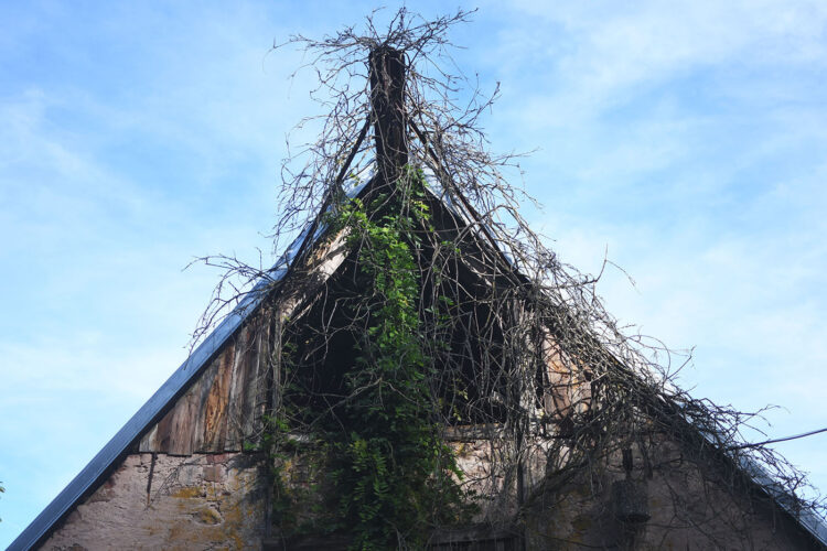 Randonnée vosges grottes des amoureux (43) hameau de fuellegarten
