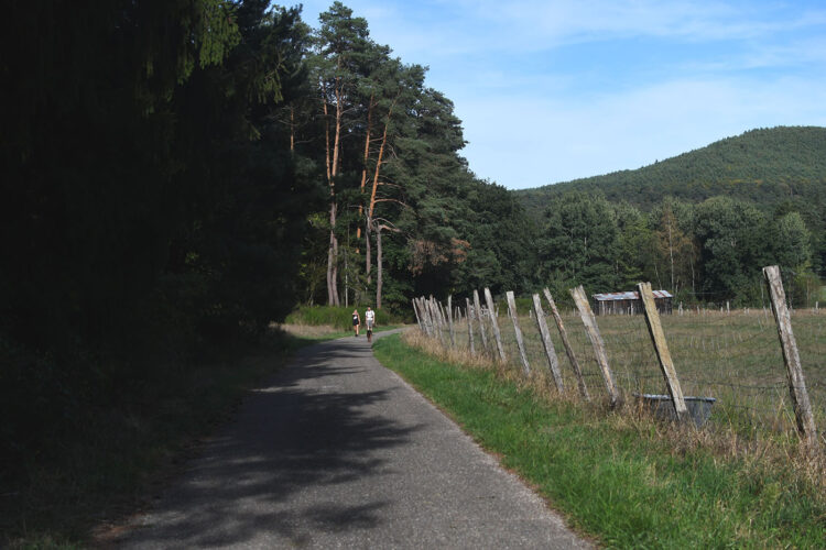 Randonnée vosges grottes des amoureux (44)
