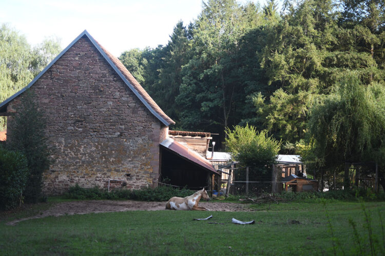 Randonnée vosges grottes des amoureux (44) hameau de fuellegarten