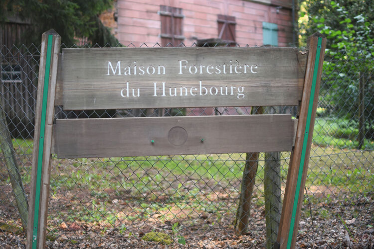 Randonnée vosges grottes des amoureux (5) maison forestière hunebourg